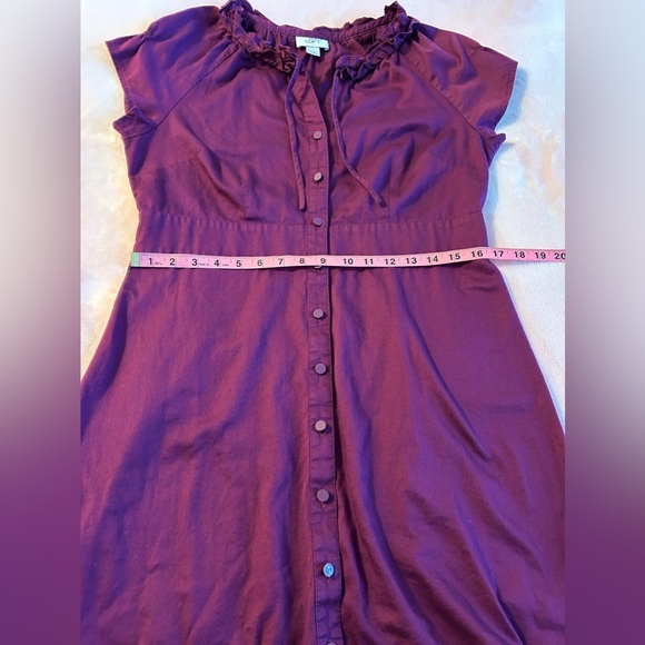 Ann Taylor Loft purple/plum button up cotton dress size 12 - Picture 8 of 9